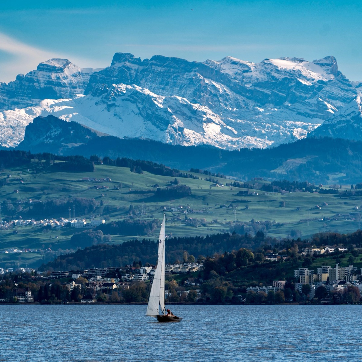 Le lac de Zurich et les Alpes enneigées